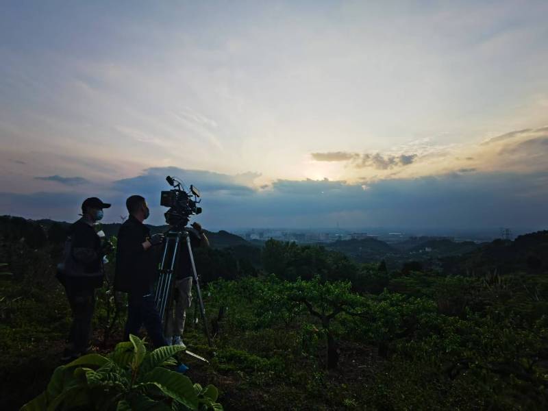 聚焦莒县产品宣传视频拍摄公司，用专业实力铸就品牌传播传奇