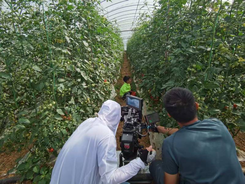 莒县产品宣传视频拍摄公司进阶指南，助力品牌抢占传播高地